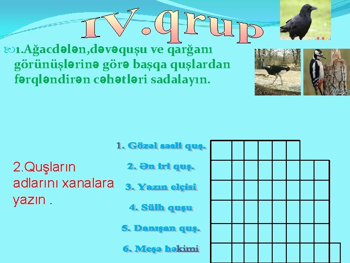  1. Ağacdələn, dəvəquşu ve qarğanı görünüşlərinə görə başqa quşlardan fərqləndirən cəhətləri sadalayın. 2.