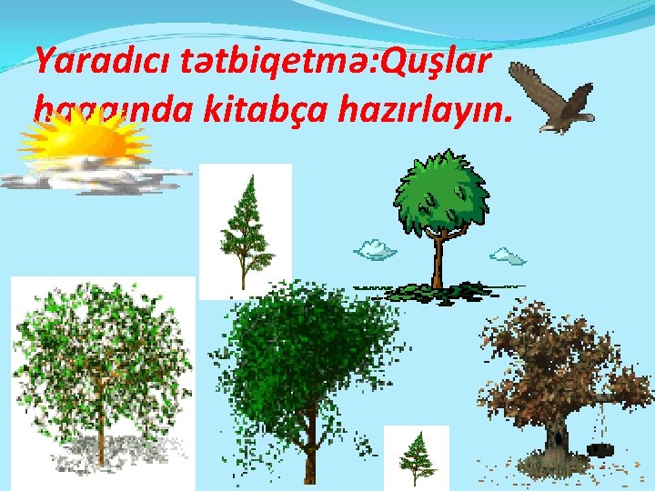 Yaradıcı tətbiqetmə: Quşlar haqqında kitabça hazırlayın. 