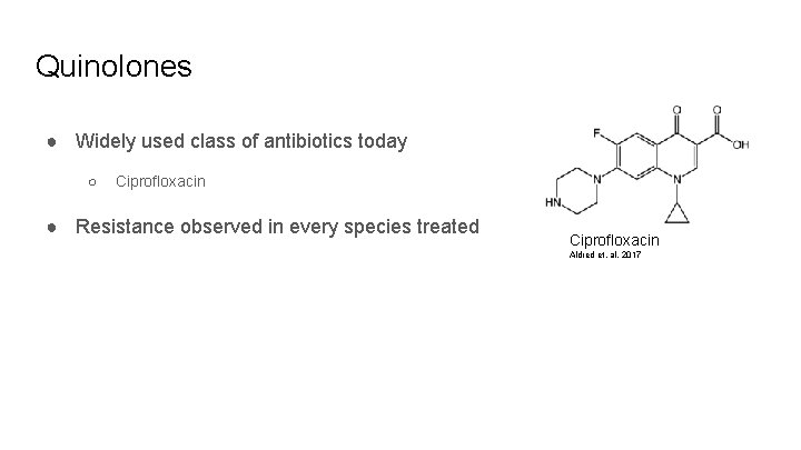 Quinolones ● Widely used class of antibiotics today ○ Ciprofloxacin ● Resistance observed in