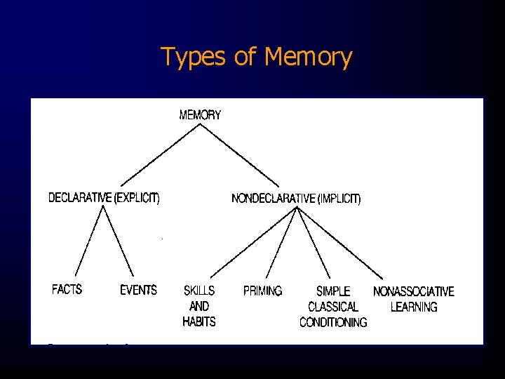 Types of Memory 