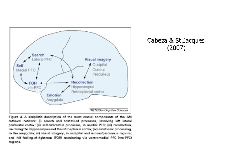 Cabeza & St. Jacques (2007) 