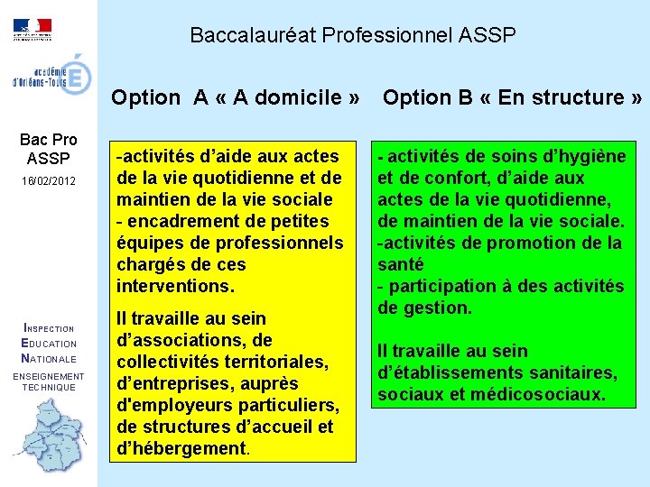 Baccalauréat Professionnel ASSP Option A « A domicile » Bac Pro ASSP 16/02/2012 INSPECTION