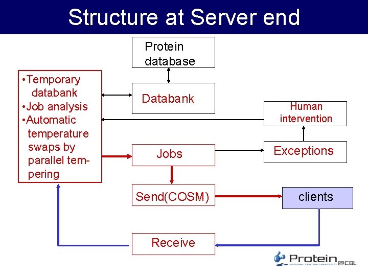 Structure at Server end Protein database • Temporary databank • Job analysis • Automatic