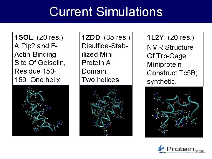 Current Simulations 1 SOL: (20 res. ) A Pip 2 and FActin-Binding Site Of