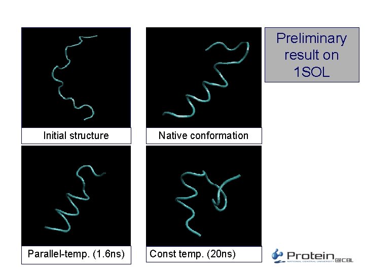 Preliminary result on 1 SOL Initial structure Parallel-temp. (1. 6 ns) Native conformation Const