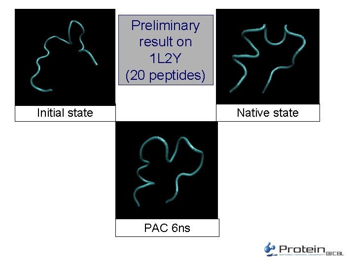 Preliminary result on 1 L 2 Y (20 peptides) Native state Initial state PAC