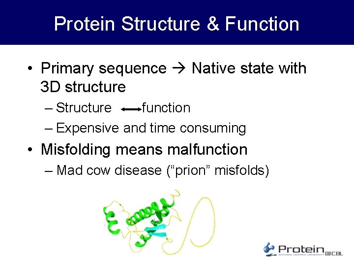 Protein Structure & Function • Primary sequence Native state with 3 D structure –