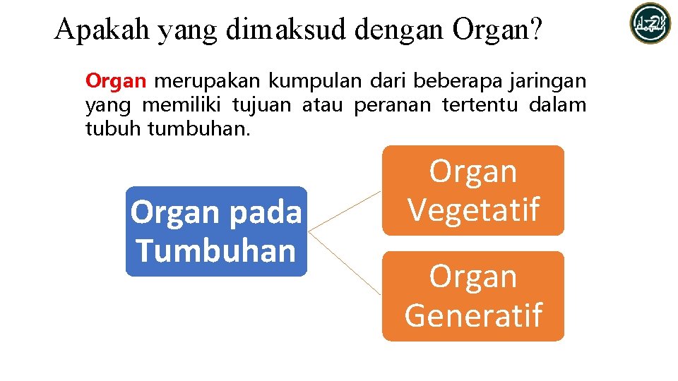 Apakah yang dimaksud dengan Organ? Organ merupakan kumpulan dari beberapa jaringan yang memiliki tujuan