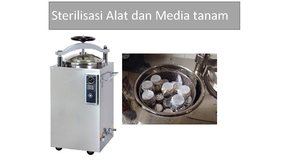 Sterilisasi Alat dan Media tanam 