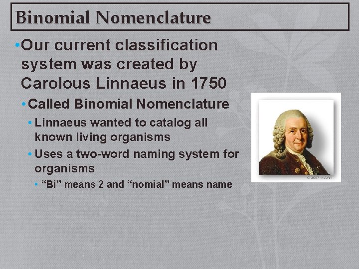 Binomial Nomenclature • Our current classification system was created by Carolous Linnaeus in 1750