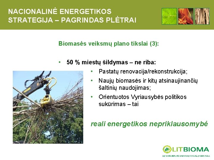NACIONALINĖ ENERGETIKOS STRATEGIJA – PAGRINDAS PLĖTRAI Biomasės veiksmų plano tikslai (3): • 50 %