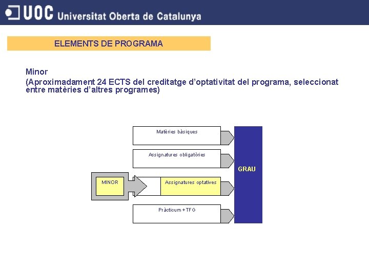 ELEMENTS DE PROGRAMA Minor (Aproximadament 24 ECTS del creditatge d’optativitat del programa, seleccionat entre