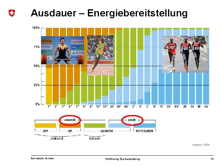 Ausdauer – Energiebereitstellung Hegner, 2006 Schweizer Armee Einführung Sportausbildung 14 