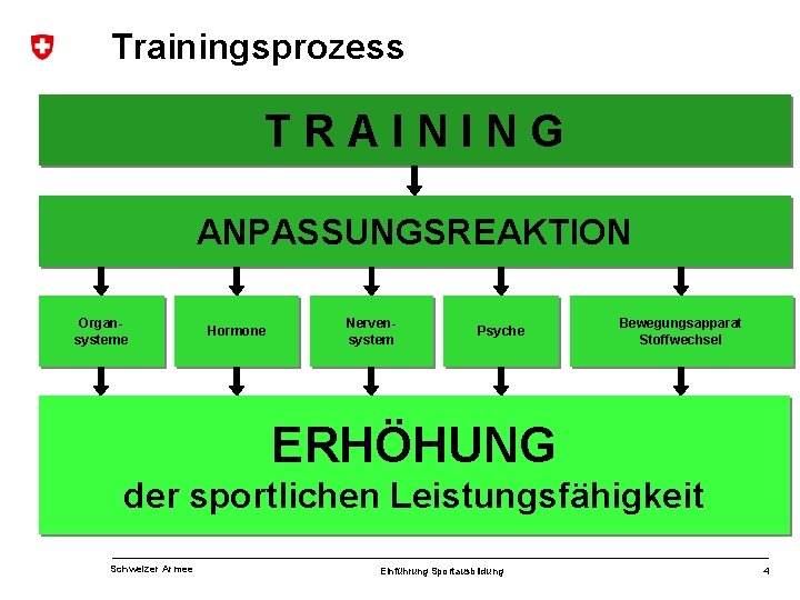 Trainingsprozess TRAINING ANPASSUNGSREAKTION Organsysteme Hormone Nervensystem Psyche Bewegungsapparat Stoffwechsel ERHÖHUNG der sportlichen Leistungsfähigkeit Schweizer