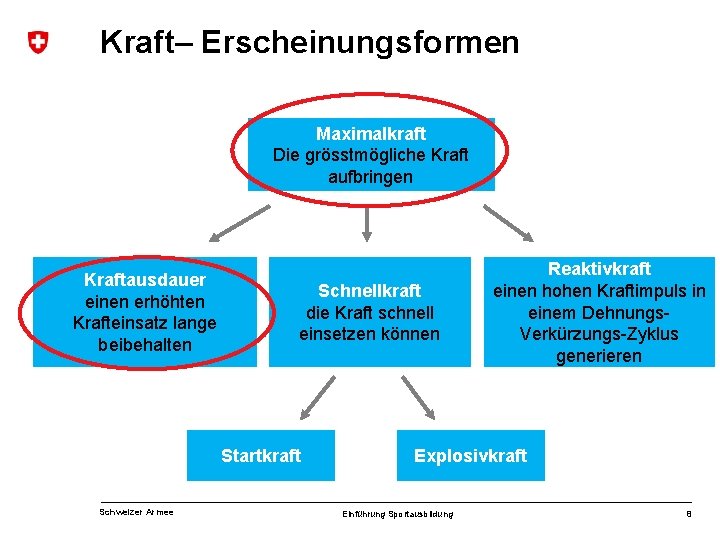 Kraft– Erscheinungsformen Maximalkraft Die grösstmögliche Kraft aufbringen Kraftausdauer einen erhöhten Krafteinsatz lange beibehalten Schnellkraft