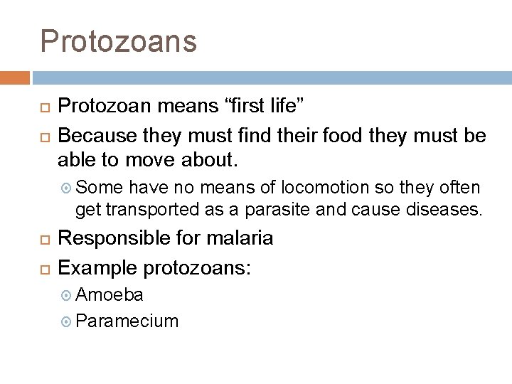 Protozoans Protozoan means “first life” Because they must find their food they must be