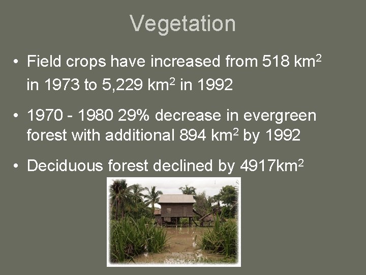 Vegetation • Field crops have increased from 518 km 2 in 1973 to 5,