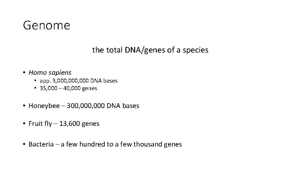 Genome the total DNA/genes of a species • Homo sapiens • app. 3, 000,