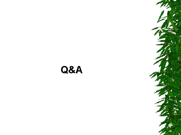 Q&A 