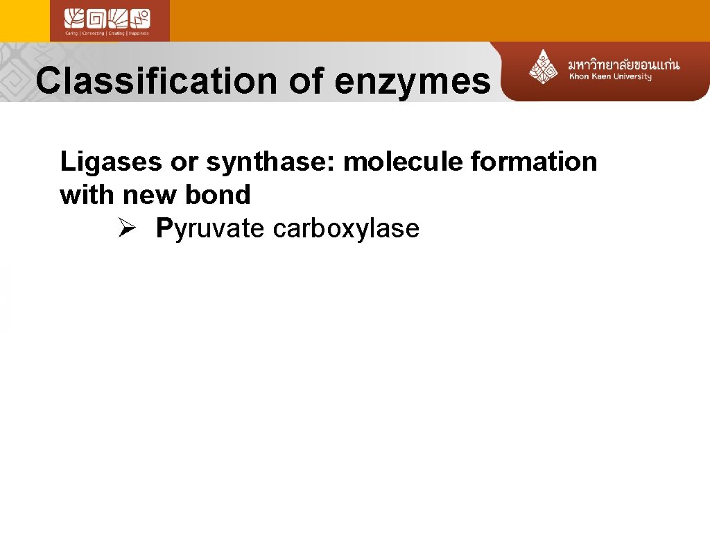 Classification of enzymes Ligases or synthase: molecule formation with new bond Ø Pyruvate carboxylase