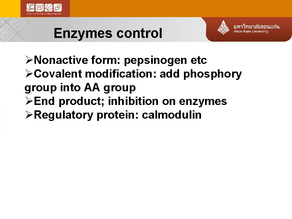 Enzymes control ØNonactive form: pepsinogen etc ØCovalent modification: add phosphory group into AA group