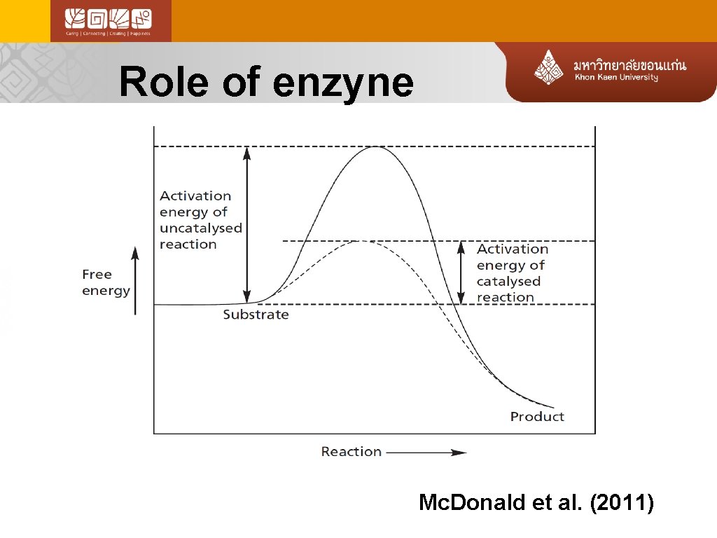 Role of enzyne Mc. Donald et al. (2011) 