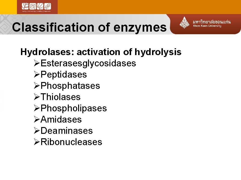 Classification of enzymes Hydrolases: activation of hydrolysis ØEsterasesglycosidases ØPeptidases ØPhosphatases ØThiolases ØPhospholipases ØAmidases ØDeaminases