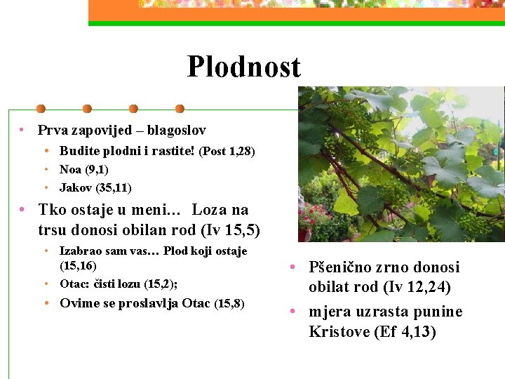 Plodnost • Prva zapovijed – blagoslov • Budite plodni i rastite! (Post 1, 28)