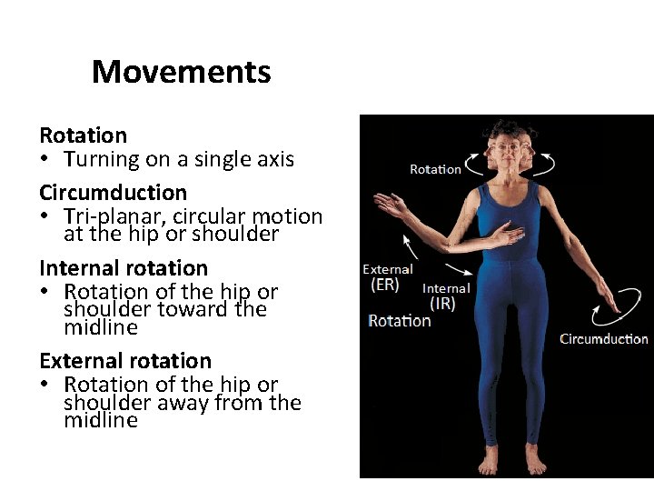 Movements Rotation • Turning on a single axis Circumduction • Tri-planar, circular motion at