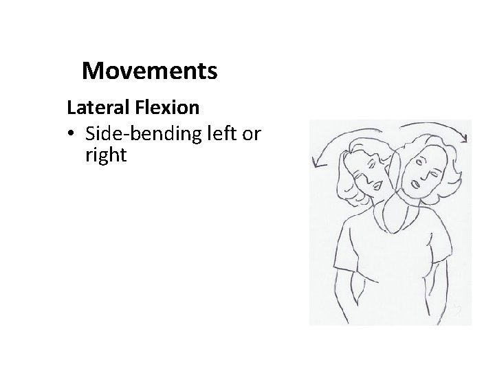 Movements Lateral Flexion • Side-bending left or right 