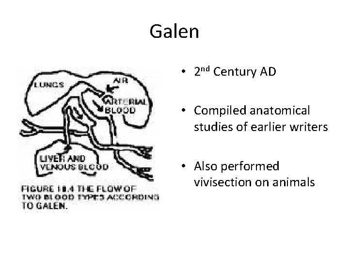 Galen • 2 nd Century AD • Compiled anatomical studies of earlier writers •