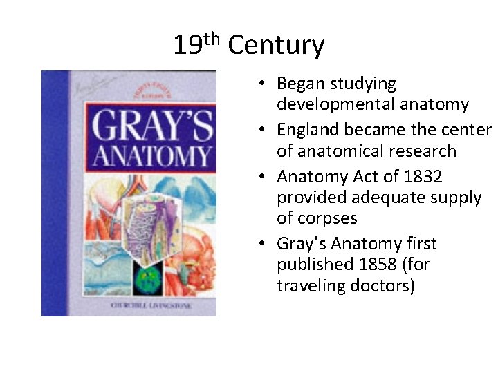 19 th Century • Began studying developmental anatomy • England became the center of