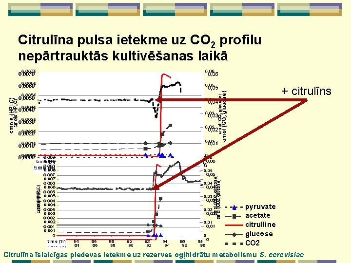 Citrulīna pulsa ietekme uz CO 2 profilu nepārtrauktās kultivēšanas laikā + citrulīns pyruvate acetate