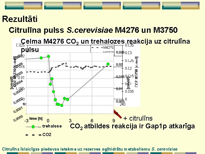 Rezultāti Citrulīna pulss S. cerevisiae M 4276 un M 3750 Celma M 4276 CO