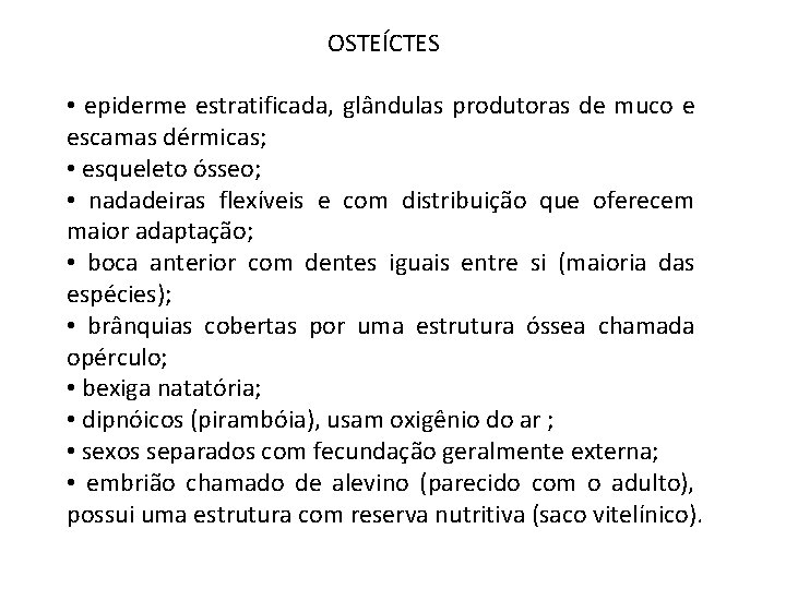 OSTEÍCTES • epiderme estratificada, glândulas produtoras de muco e escamas dérmicas; • esqueleto ósseo;