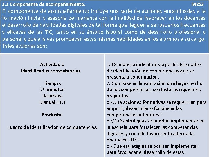 2. 1 Componente de acompañamiento. M 2 S 2 El componente de acompañamiento incluye