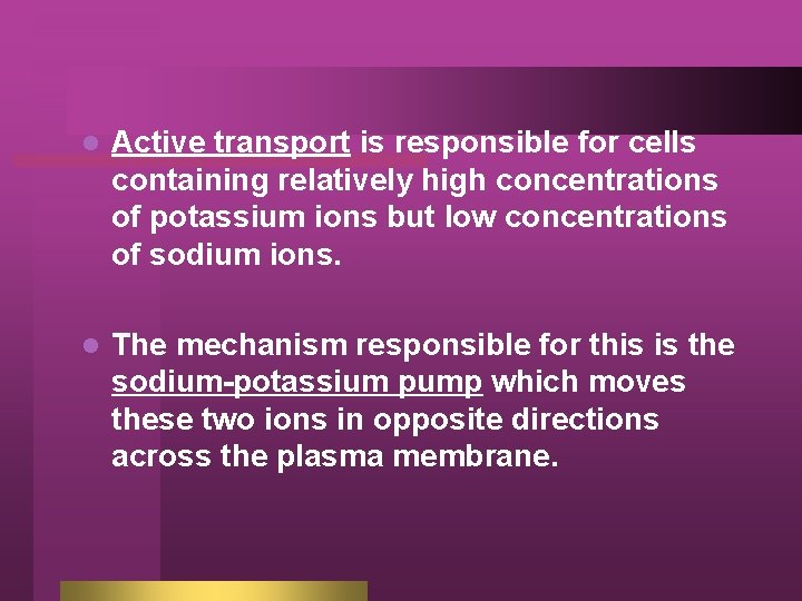 l Active transport is responsible for cells containing relatively high concentrations of potassium ions