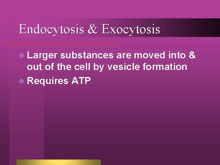 Endocytosis & Exocytosis l Larger substances are moved into & out of the cell