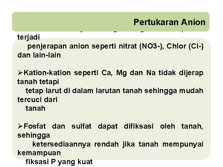 Pertukaran Anion ØBila tanah banyak mengandung muatan positif terjadi penjerapan anion seperti nitrat (NO