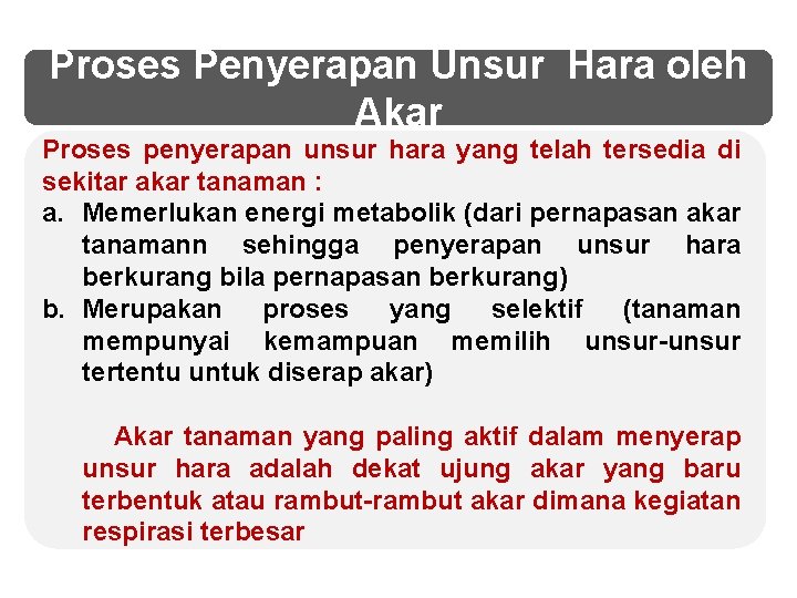 Proses Penyerapan Unsur Hara oleh Akar Proses penyerapan unsur hara yang telah tersedia di