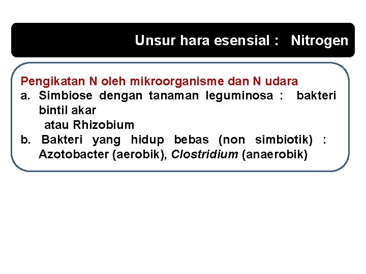 Unsur hara esensial : Nitrogen Pengikatan N oleh mikroorganisme dan N udara a. Simbiose