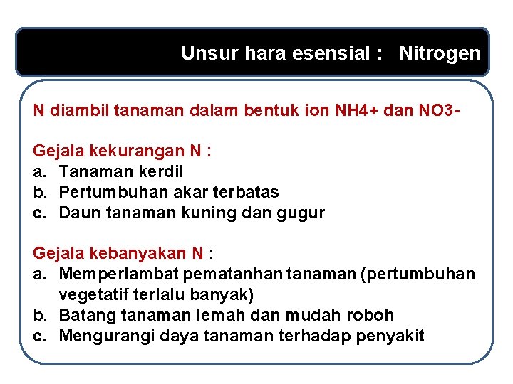 Unsur hara esensial : Nitrogen N diambil tanaman dalam bentuk ion NH 4+ dan