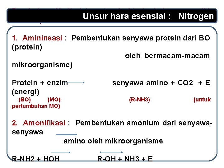 Perubahan N di dalam tanah (dari bahan organik) Unsur hara esensial : Nitrogen melalui