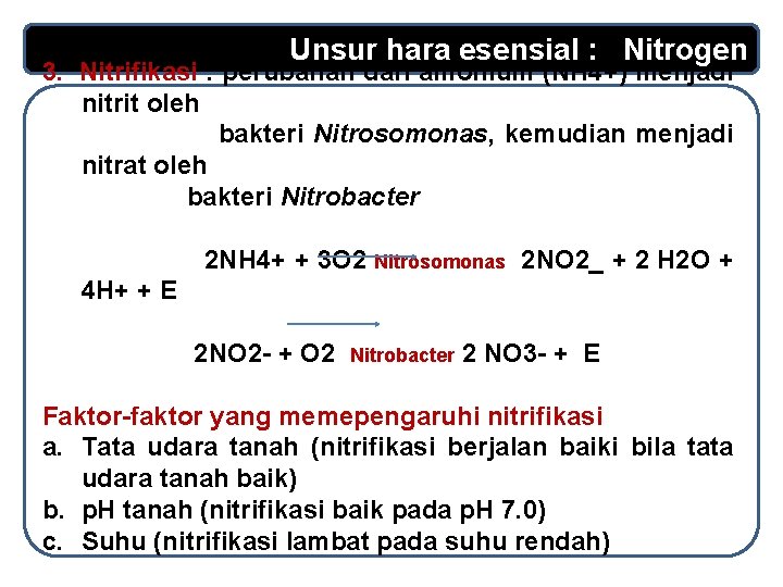 Unsur hara esensial : Nitrogen 3. Nitrifikasi : perubahan dari amonium (NH 4+) menjadi