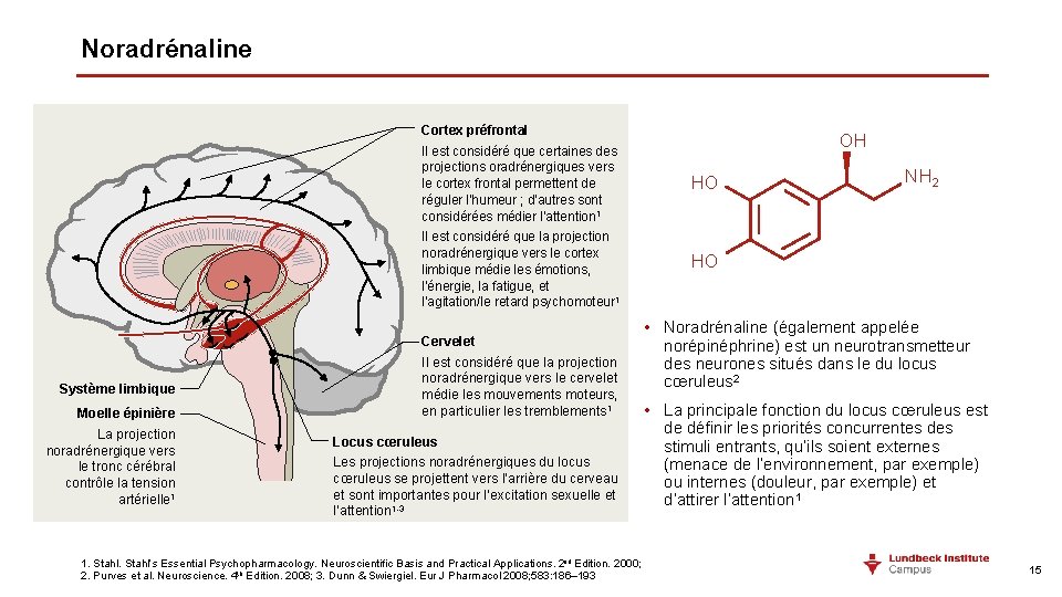 Noradrénaline Cortex préfrontal Il est considéré que certaines des projections oradrénergiques vers le cortex