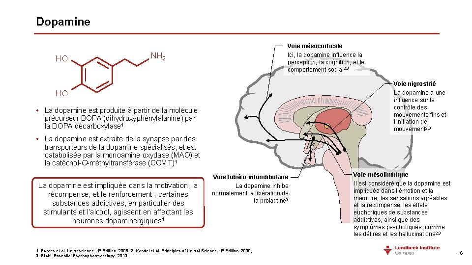 Dopamine Voie mésocorticale HO NH 2 Ici, la dopamine influence la perception, la cognition,