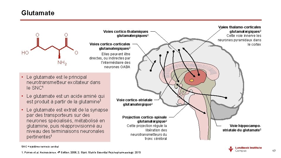 Glutamate O Voies cortico-thalamiques glutamatergiques 2 O HO O NH 2 Voies cortico-corticales glutamatergiques