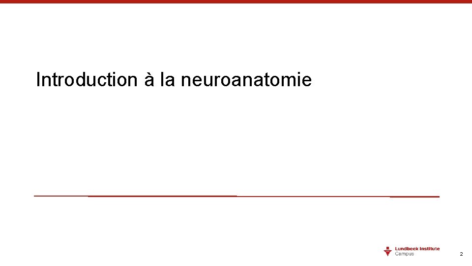 Introduction à la neuroanatomie 2 