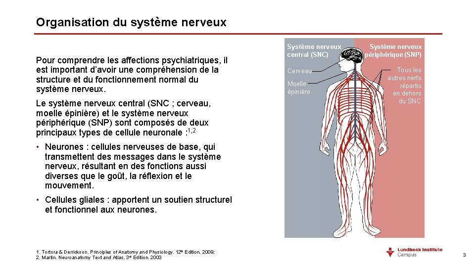 Organisation du système nerveux Pour comprendre les affections psychiatriques, il est important d’avoir une