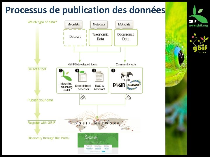 Processus de publication des données 